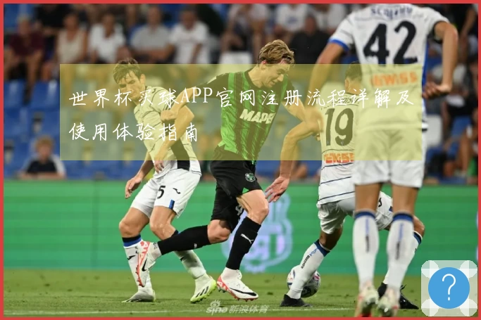世界杯买球APP官网注册流程详解及使用体验指南