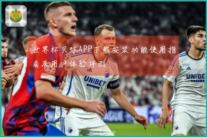 世界杯买球APP下载安装功能使用指南及用户体验评测