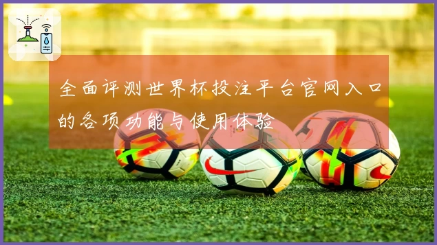 全面评测世界杯投注平台官网入口的各项功能与使用体验
